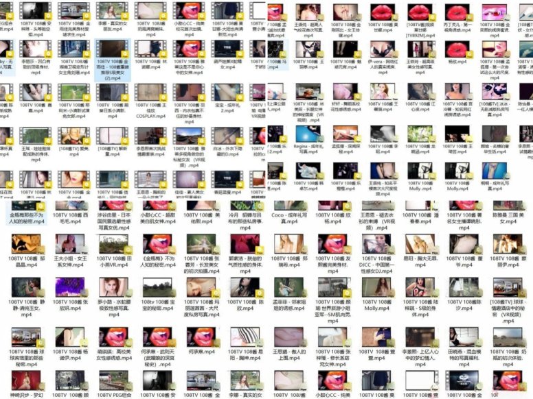 [合集]《108TV酱》视频作品144套120.89G